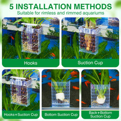 Borlech aquarium plant holder rim-hang setup enables layered layouts.