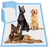 Boscute 4XL thickened pads, top view for spacious training area.