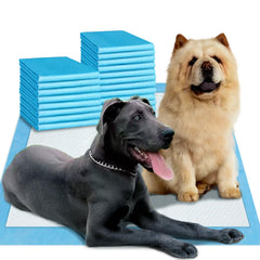 Boscute enormous 54 by 37 inch pee pad for large dogs in training or care scenarios