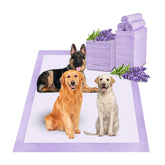 Boscute lavender scented pad in top view shows large coverage for training and leaks