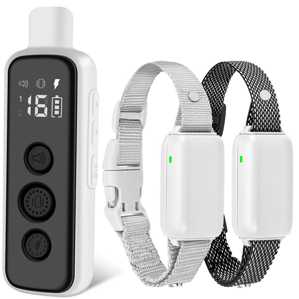 BOUSNIC dual-channel remote for two dogs with training range up to 1000 ft.