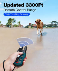Dual-channel setup enabling training two dogs at once with Bousnic collar.