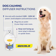 Boxala diffuser head and refills ready for continuous comfort