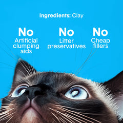 Boxiecat easy-scoop clumps show quick cleanup action.