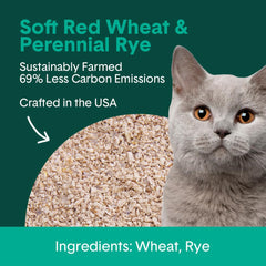Boxiecat Eco scoop-ready design for quick litter box cleaning.