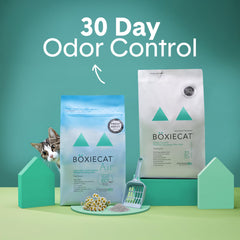 Close-up of clumping action on Boxiecat litter for easy scooping
