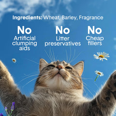 Dust-free formula reduces tracking and keeps surfaces cleaner