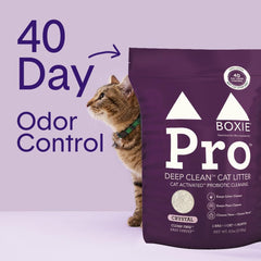 Self-cleaning probiotic technology keeps the litter box fresh between scoopings.