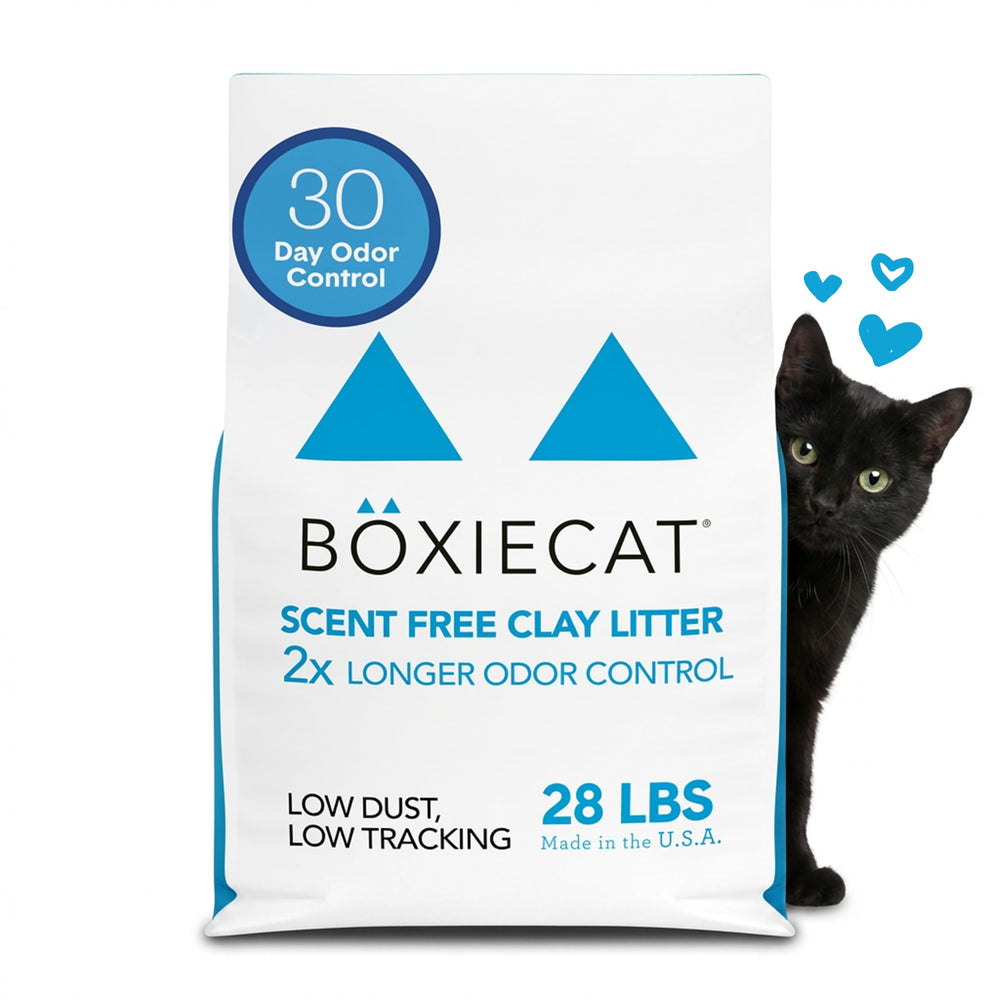 Boxiecat unscented litter with top clumps for easy scooping and mess-free maintenance.