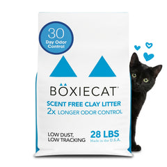 Boxiecat unscented litter with top clumps for easy scooping and mess-free maintenance.