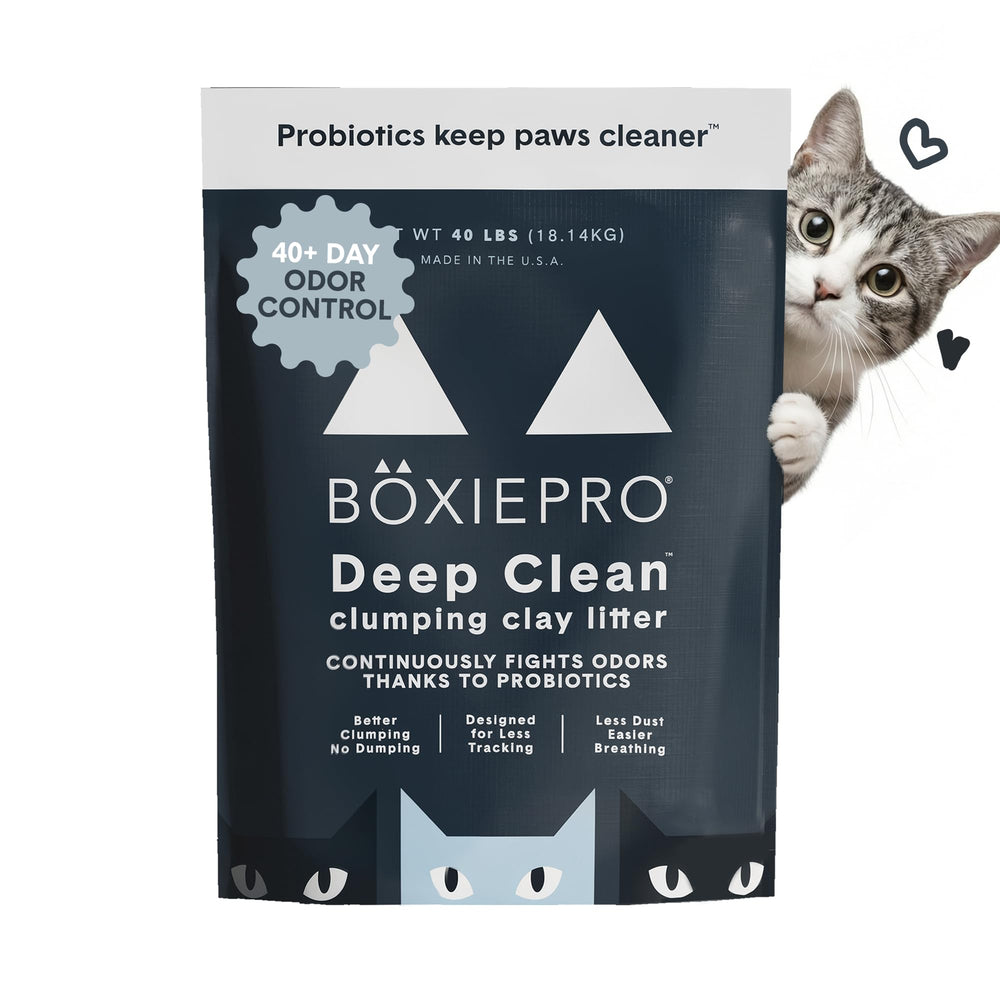 BoxiePro probiotic cat litter demonstrating odor control and fresh air in a home setting.