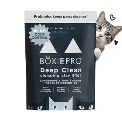 BoxiePro probiotic cat litter demonstrating odor control and fresh air in a home setting.