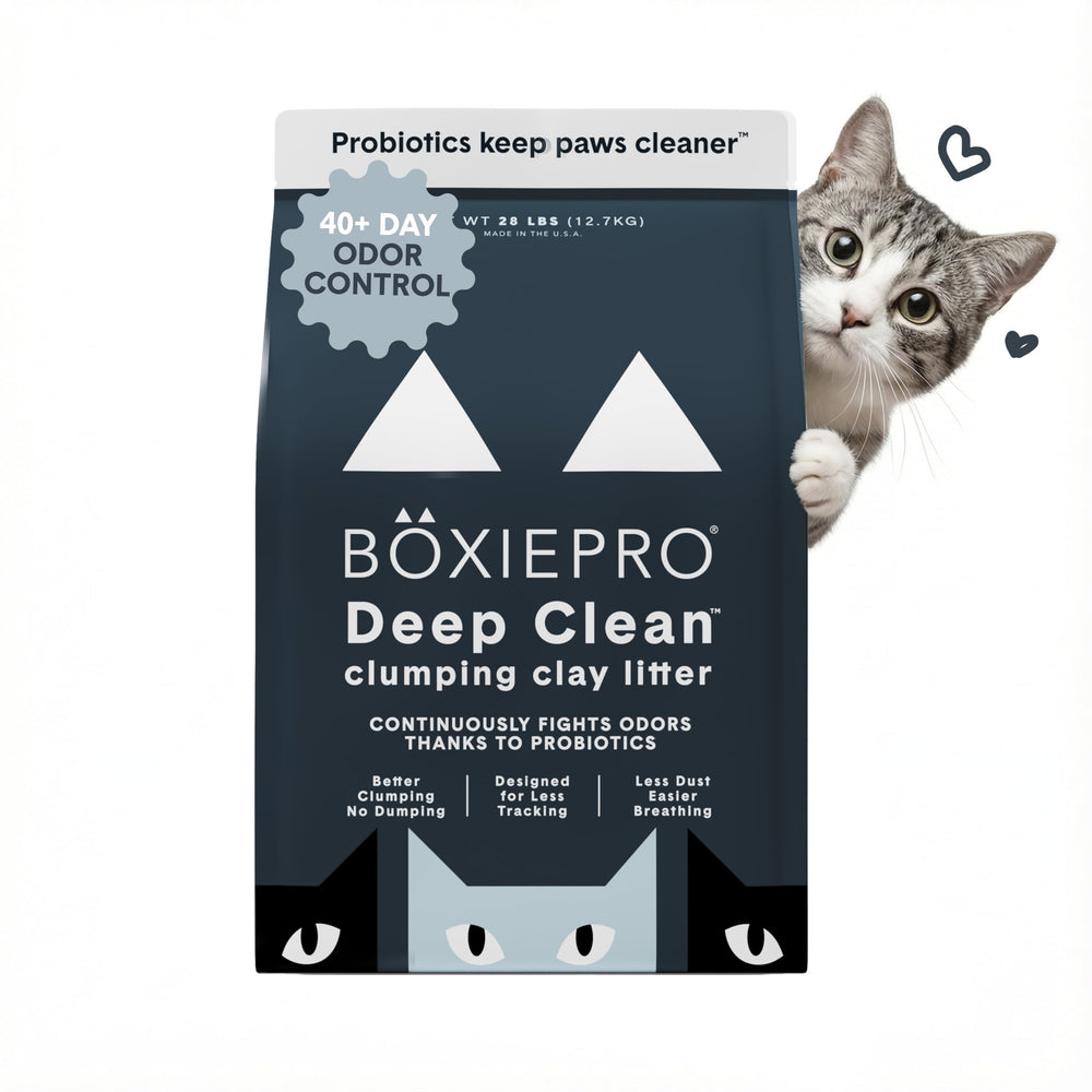 BoxiePro probiotic cat litter in action providing odor control for a fresher home