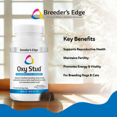 Breeder's Edge Oxy Stud feeding scene demonstrates easy daily dosing