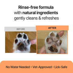Breezytail PetO’Cera itch-relief care soothes sensitive skin during cleaning