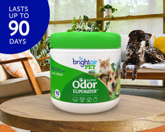 Bright Air natural essential oils gel infusion for a clean, plant-based aroma.