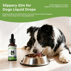 BrightBarki Organic Slippery Elm Bark Extract in a bottle for simple canine comfort