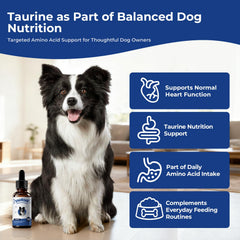 BrightBarki taurine liquid drops dog, supports normal muscle function during activity.