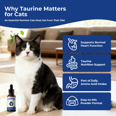 BrightBarki Taurine liquid drops mixed into wet food for consistent intake.