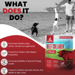 Brightway Pets Grass-Fed Collagen for Dogs serving highlights coat health and mobility