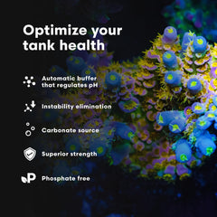 In-tank view highlighting clear water and thriving corals with stable KH