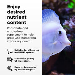 Brightwell ChaetoGro-dosing-dropper shows practical dosing for early chaeto growth.