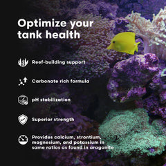 Brightwell Aquatics Coralline Accelerator pour demonstrates easy calcium management in reefs.