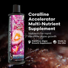 Brightwell Aquatics Coralline Accelerator being poured for convenient reef tank dosing.