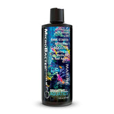 Brightwell Aquatics MicroBacter Start XLM bottle shows a powerful 15x concentrate for fast cycling