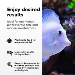Anemones thrive visually with ReefBlizzard-A during targeted feeding.