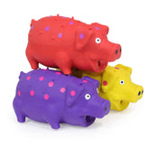 BRMDT Squeaky Pig Dog Toy grunting action for interactive play.
