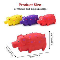BRMDT Squeaky Pig Dog Toy with soft spines massaging gums during chewing.