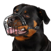 BRONZEDOG muzzle with adjustable leather straps for a secure fit.