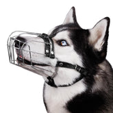 BRONZEDOG adjustable stainless steel muzzle for large dogs improves safety during walks.