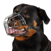 BRONZEDOG muzzle basket in metal wire for large dogs, safety in action