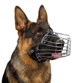 BronzeDog basket front view muzzle showing secure XL fit