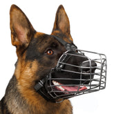 BRONZEDOG wire muzzle nose padding for comfortable, secure fit during training.