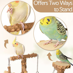 BRSLAIF parrot playground ladder offering multi-level play for engagement.