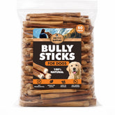 BRUTUS & BARNABY 6-inch bully stick close-up for long-lasting chews.