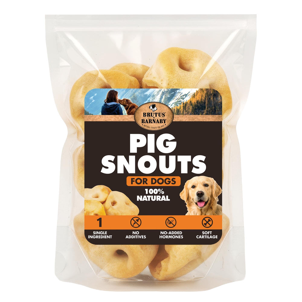 BRUTUS & BARNABY pig snout closeup highlighting natural, digestible chew.