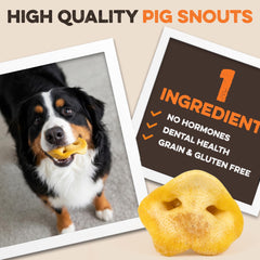 BRUTUS & BARNABY pig snout packaging label natural ingredients.