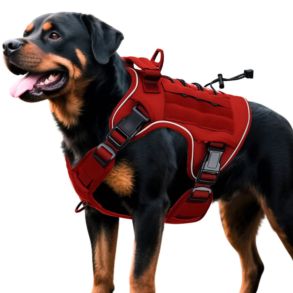 Bruvoalon heavy-duty harness with front leash clip for training and control.