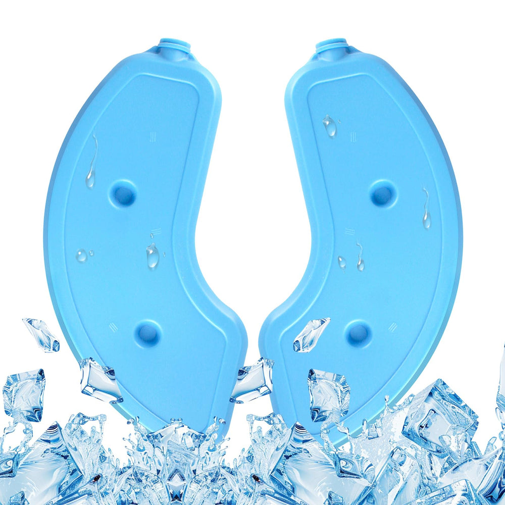 Bsemax 2-pack ice packs front view cooling wet food when you’re away