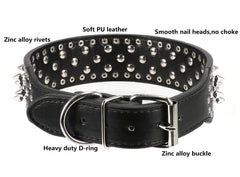 BTDCFY Hoot spiked collar black color front view with adjustable fit