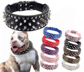 BTDCFY Hoot spiked collar side view shows 2-inch width for neck protection during play