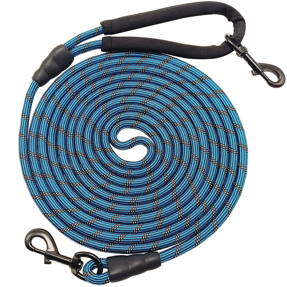 BTINESFUL long dog leash 10ft blue shown during a quick outdoor stroll