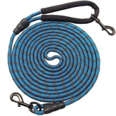 BTINESFUL long dog leash 10ft blue shown during a quick outdoor stroll