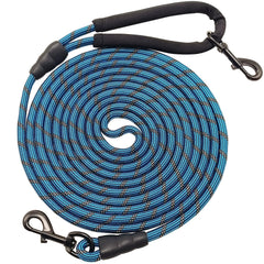 BTINESFUL long dog leash 10ft blue shown during a quick outdoor stroll