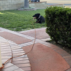 BTINESFUL tie-out rope 12ft orange-black for porch and park play