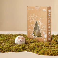 BUCATSTATE forest moss hamster bedding creates cozy nests for small pets.
